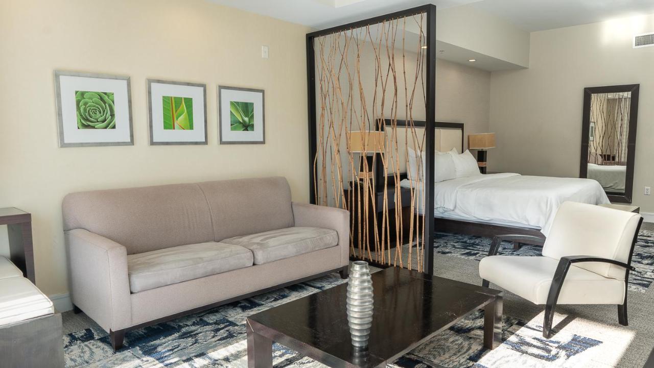 אפרטהוטל מיאמי Modern Private Studio - King Bed, Jacuzzi, Balcony And Pool מראה חיצוני תמונה